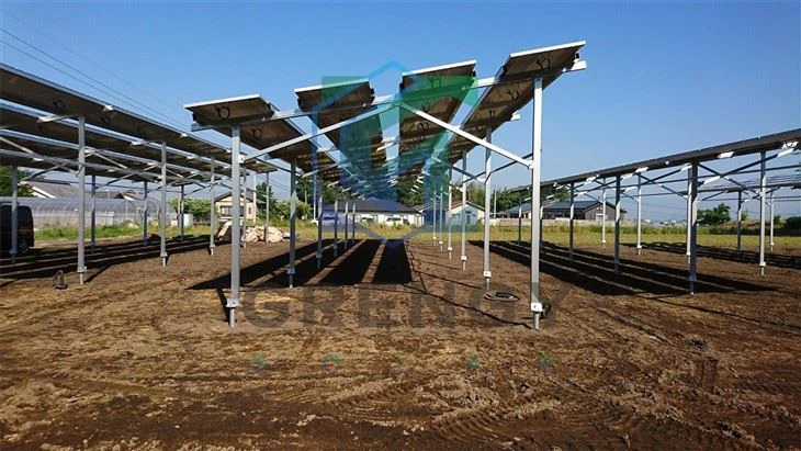 Agricultural - Complementary Photovoltaic Mounting Structures