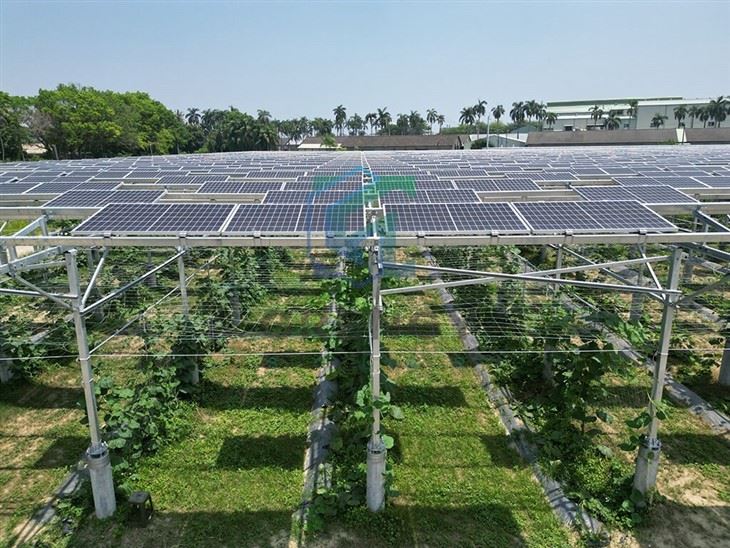 Agriculture Solar Farm Ground Mount Racking System