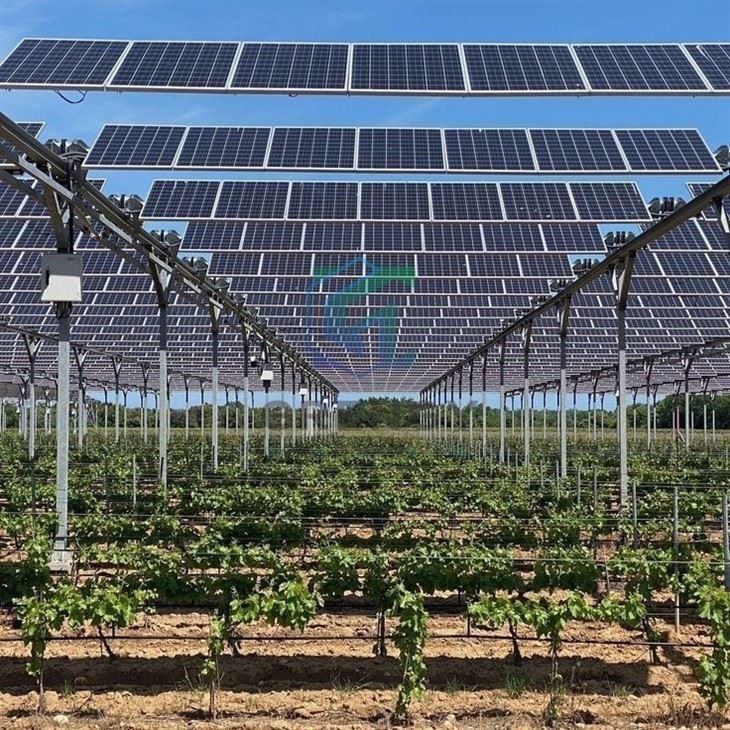 Agriculture Solar Farm Ground Mounting System