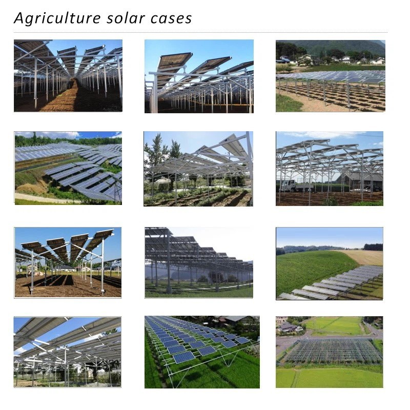 Agrivoltaics Mounting Solutions case view Agrivoltaics Mounting Solutions case view