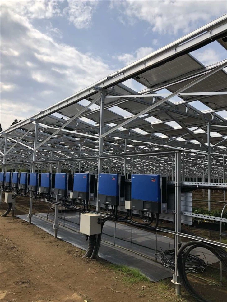 Solar Agrivoltaics Mounting System